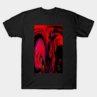 Displayed Vibrance T-Shirt